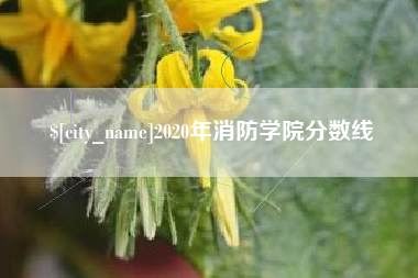 长葛2020年消防学院分数线