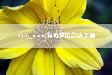 长葛消防救援总队王星
