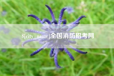 长葛全国消防招考网