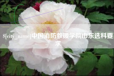 长葛中国消防救援学院山东选科要求