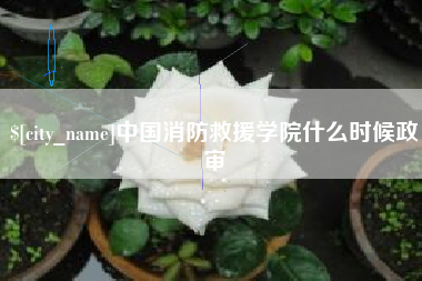 长葛中国消防救援学院什么时候政审