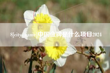 长葛中国金牌是什么项目2024