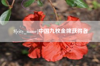 长葛中国九枚金牌获得者