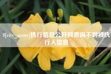 长葛执行信息公开网查询不到被执行人信息