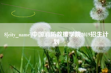 长葛中国消防救援学院2019招生计划