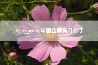 长葛中国金牌有几枚了