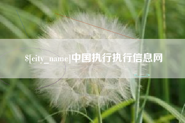 长葛中国执行执行信息网