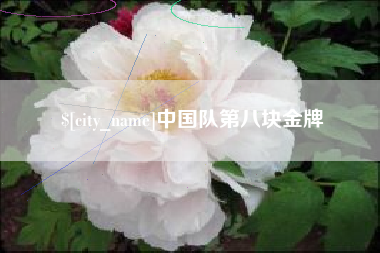 长葛中国队第八块金牌