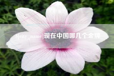 长葛现在中国哪几个金牌