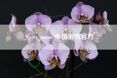 长葛中国消防官方