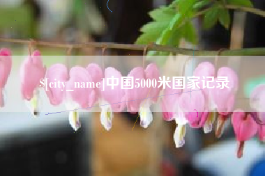 长葛中国5000米国家记录