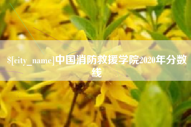 长葛中国消防救援学院2020年分数线
