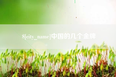 长葛中国的几个金牌