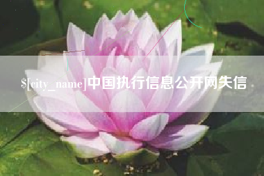 长葛中国执行信息公开网失信