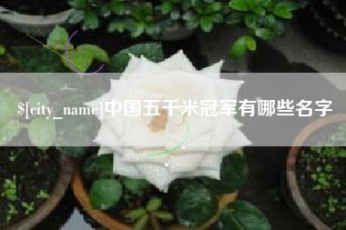 长葛中国五千米冠军有哪些名字