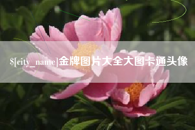 长葛金牌图片大全大图卡通头像
